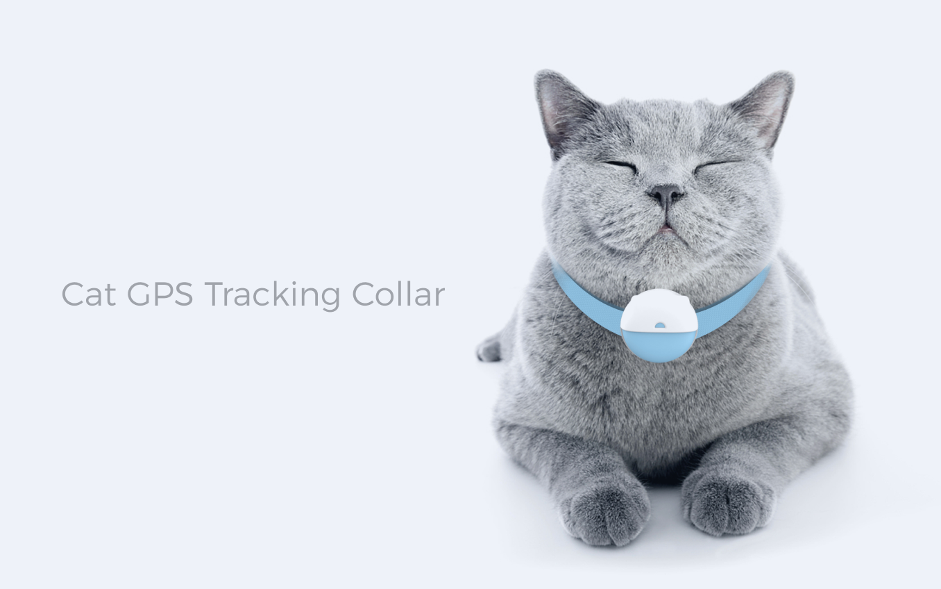 Custom Cat Tracking Collar - Advanced GPS Pet Monitoring & Health ...